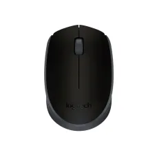 Logitech 910-004424 M171 Wireless Mouse, Ambidextrous, Optical, RF Wireless, 1000 DPI, Black